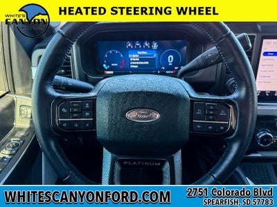 2025 Ford F-250 Platinum