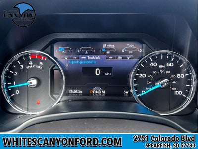 2021 Ford F-250 Platinum