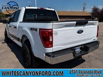 2023 Ford F-150 XL