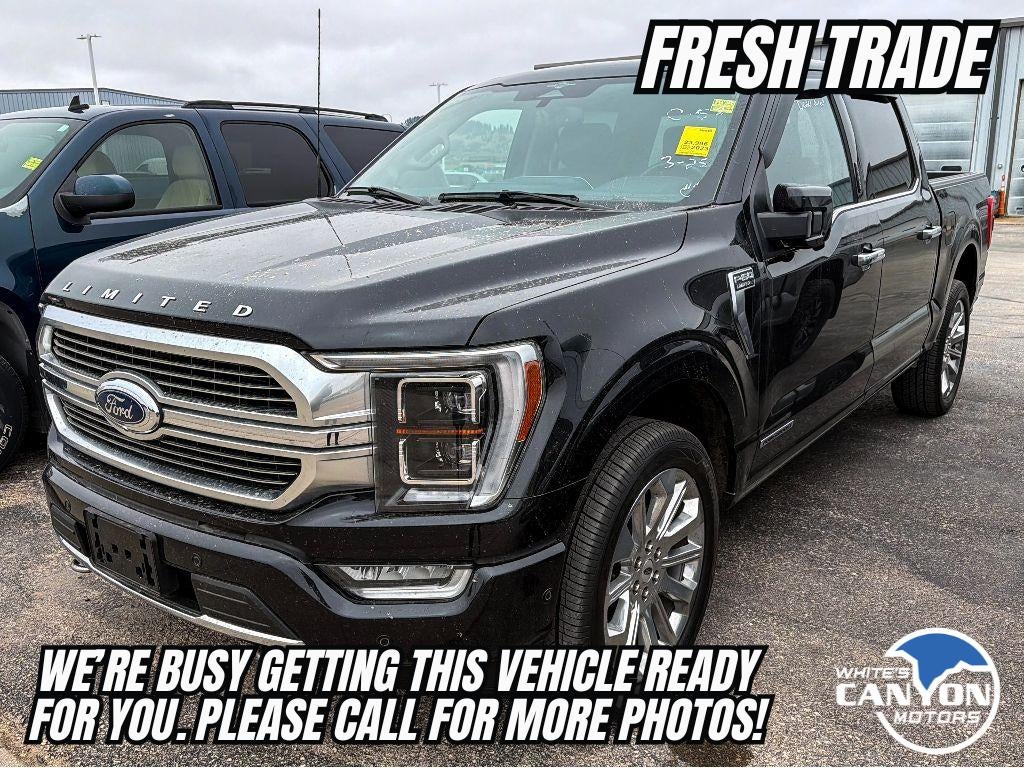 2023 Ford F-150 Limited