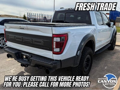 2023 Ford F-150 Raptor